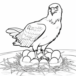Printable Osprey Life Cycle Coloring Pages 3
