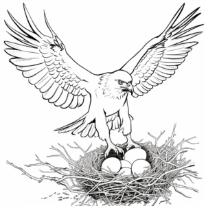 Printable Osprey Life Cycle Coloring Pages 4