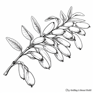 Printable Pecan Branch Coloring Pages for Artists 2