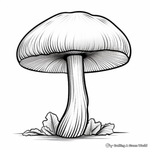 Printable Portobello Mushroom Coloring Pages 4
