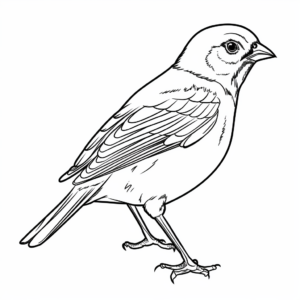 Printable Red-Winged Blackbird Flock Coloring Pages 4