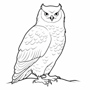 Printable Snowy Owl Coloring Pages for Artists 4