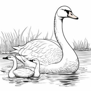 Printable Swan Coloring Pages for Artists 3