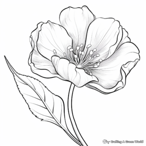 Printable Tulip Flower Coloring Sheets 2