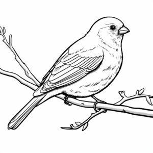 Puffy Pine Grosbeak Coloring Pages for Children 2