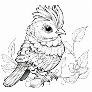 Quail with Colorful Feathers Coloring Pages 4