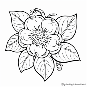Raspberry Flower and Fruit Coloring Pages 4