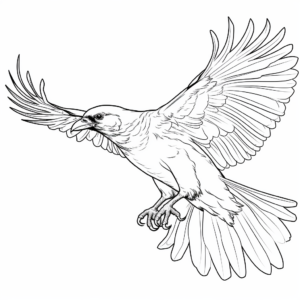 Raven in Flight Coloring Pages 2