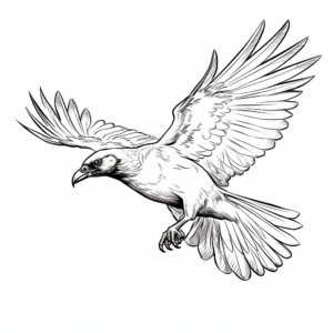 Raven in Flight Coloring Pages 3