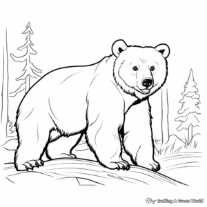 Realistic American Black Bear Coloring Pages 3