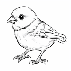 Realistic Baby Sparrow Coloring Sheets 2