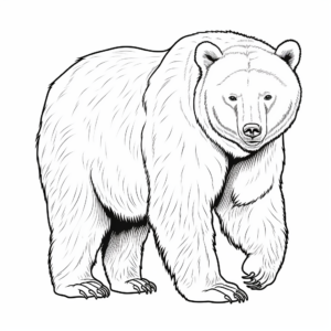 Realistic Black Bear Coloring Pages 2