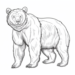 Realistic Black Bear Coloring Pages 3