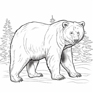 Realistic Black Bear Coloring Pages 4