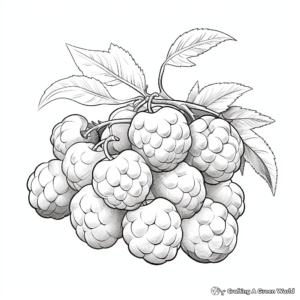 Realistic Blackberry Coloring Pages 3