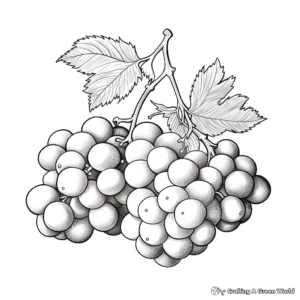 Realistic Blackberry Coloring Pages 4