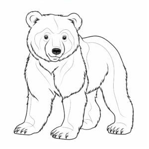 Realistic Brown Bear Coloring Sheets 3