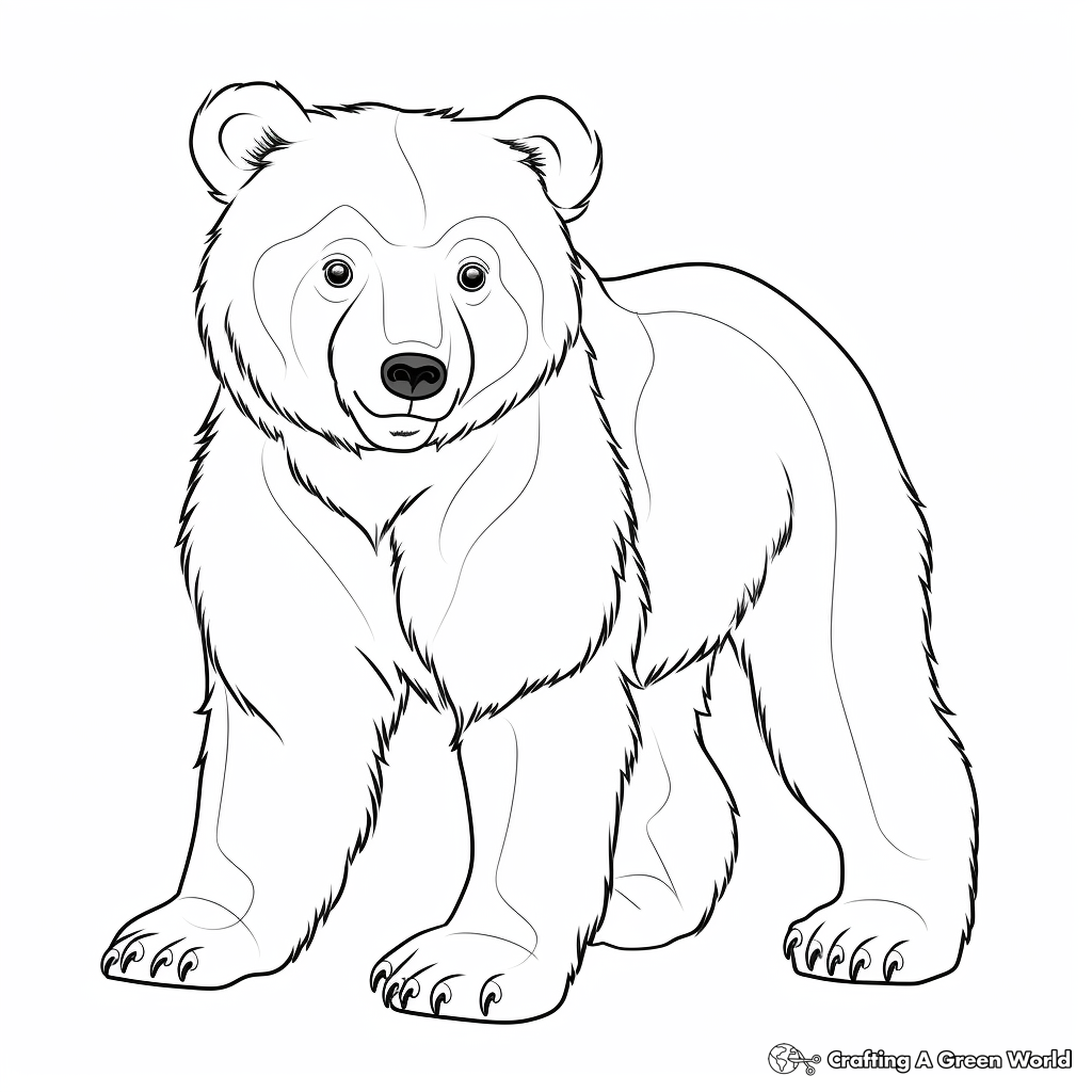 Realistic Brown Bear Coloring Sheets 3