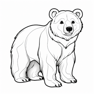 Realistic Brown Bear Coloring Sheets 4