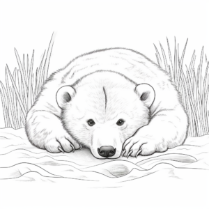 Realistic Hibernating Polar Bear Coloring Pages 2