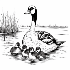 Realistic Loon Family Coloring Pages 3