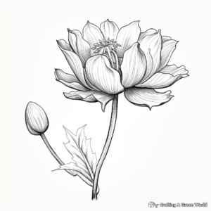 Realistic Lotus Flower Coloring Pages 1