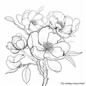 Realistic Magnolia Coloring Pages 1