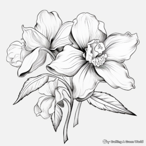 Realistic Orchid Flower Coloring Sheets 1