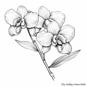 Realistic Orchid Flower Coloring Sheets 4