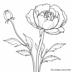 Realistic Peony Bud Coloring Pages 4