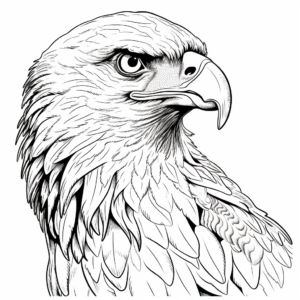 Realistic Portrait of Golden Eagle Coloring Pages 2