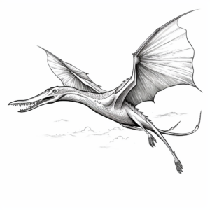 Realistic Pterodactyl in Flight Coloring Pages 2