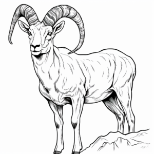 Realistic Sierra Nevada Bighorn Sheep Coloring Pages 1