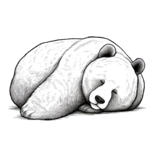 Realistic Sleeping Panda Bear Coloring Pages 4