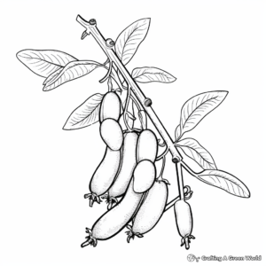 Realistic Sugar Snap Peas Coloring Pages 4