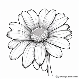 Realistic White Daisy Coloring Pages 3