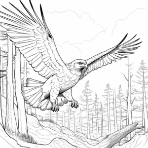Red Tailed Hawk and Forest Background Coloring Pages 4