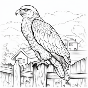 Red Tailed Hawk and Stunning Sunset Scene Coloring Pages 2