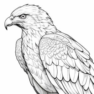 Red Tailed Hawk Feather Detail Coloring Pages 1