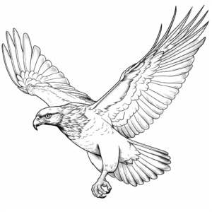 Red Tailed Hawk In Flight Coloring Pages 4