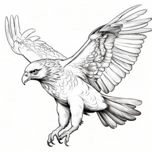 Red Tailed Hawk Prey Hunting Coloring Pages 2