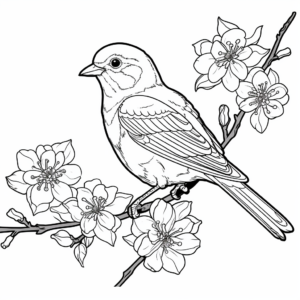 Robin and Cherry Blossom Coloring Pages 3