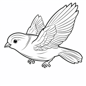 Robin in Flight Coloring Pages 3