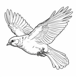 Robin in Flight Coloring Pages 4