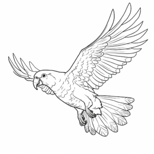Rose-Breasted Cockatoo Coloring Pages for Kids 4