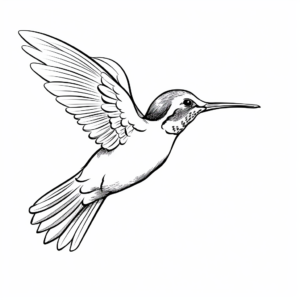 Ruby Throated Hummingbird Mid-flight Coloring Pages 3