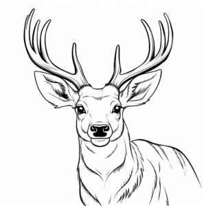 Sambar Deer Head Coloring Pages 4