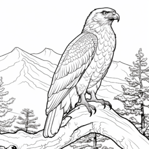 Scenic Red Tailed Hawk in Tree Coloring Sheets 2