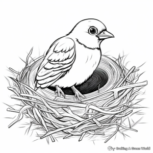 Simple Blue Jay Nest Coloring Page for Beginners 3
