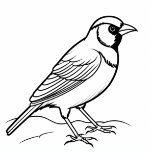 Simple Cardinal Coloring Sheets for Beginners 1